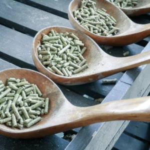 Moringa Livestock feed