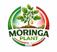 Organic moringa plant logo with green leaves and moringa oil drop, surrounded by Italian flag colors representing natural moringa farming and premium moringa products.